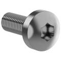 FORMAT Винт М6х16 самонарезающий полукруглая головка шестирадиусный шлиц TORX30 DIN 7500С (20шт/упак
