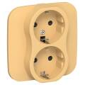 FLITE Розетка 2-местная с заземлением с защитными шторками безвинтовое крепление 16А РСш12-1-А-ФлЗ з
