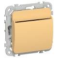 FLITE Выключатель карточный 30А ВК-0-ФлЗ золотарник IEK