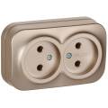 GLORY Розетка 2-местная для открытой установки без заземления без защитных шторок 10А РС22-2-ХШм шам