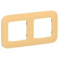 FLITE Рамка 2-местная РУ-2-А-ФлЗ золотарник IEK
