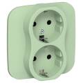 FLITE Розетка 2-местная с заземлением без защитных шторок безвинтовое крепление 16А РС12-1-А-ФлФ фис
