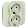 FLITE Розетка 2-местная с заземлением без защитных шторок безвинтовое крепление 16А РС12-1-А-ФлП пан