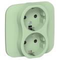FLITE Розетка 2-местная с заземлением с защитными шторками безвинтовое крепление 16А РСш12-1-А-ФлФ ф