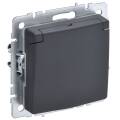 BRITE Розетка 1-местная с заземлением с защитными шторками и крышкой 16А IP44 РСбш10-3-44-БрГ графит