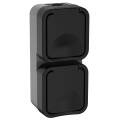 TORS Розетка 2-местная вертикальная 16А IP55 TS132 графит IEK