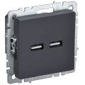 BRITE Розетка USB A+A 5В 3,1А РЮ10-1-БрГ графит IEK