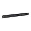 Патч-панель 1U, 19'', 48хRJ45, UTP, кат.5e, Dual IDC, с органайзером, TERACOM PRO TRP-PPNL-5EUTP-C1U48