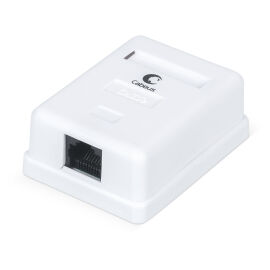 Розетка компьютерная RJ-45, кат.5e, одинарная, внешняя, Dual IDC, Cabeus WS-8P8C-Cat.5e-1