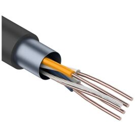 Кабель FTP 2 пары, Кат.5e, внеш., 0,50мм, PE, черный, 305м, REXANT 01-0124