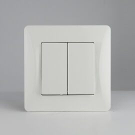 Выключатель двухклавишный белый 10А, 220-250V, SPL 201102