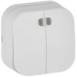 GLORY Выключатель 2-клавишный для открытой установки с индикацией 10А ВС20-2-1-ХБм белый матовый IEK