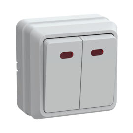 Выключатель 2-клавишный с индикацией, 10А, ВС20-2-1-ОБ, белый, IEK EVO21-K01-10-DC