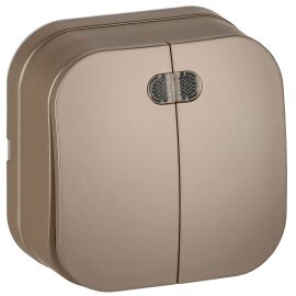 GLORY Выключатель 2-клавишный для открытой установки с индикацией 10А ВС20-2-1-ХШм шампань матовый I