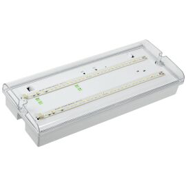 Светильник аварийный ДПА 5044-3 постоянного/непостоянного действия совместим с УДТУ 3ч IP65 IEK