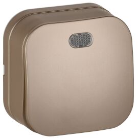 GLORY Выключатель 1-клавишный для открытой установки с индикацией 10А ВС20-1-1-ХШм шампань матовый I