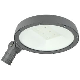 Светильник светодиодный консольный ДКУ Парк 2001-100Д 5000К IP65 IEK