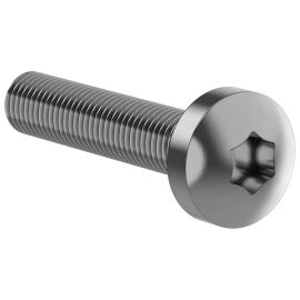 FORMAT Винт М6х30 самонарезающий полукруглая головка шестирадиусный шлиц TORX30 DIN 7500С (20шт/упак