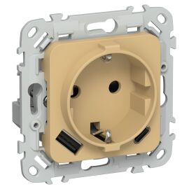 FLITE Розетка 1-местная с заземлением с защитными шторками 16А с USB A+C 20Вт РСЮшс11-0-ФлШм шамуа I