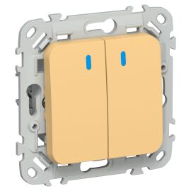 FLITE Выключатель 2-клавишный кнопочный с индикацией 10А ВС12-2-1-ФлЗ золотарник IEK