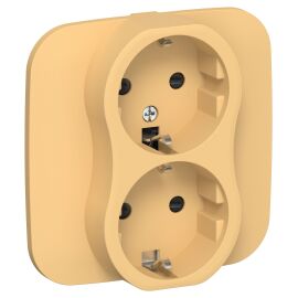 FLITE Розетка 2-местная с заземлением с защитными шторками безвинтовое крепление 16А РСш12-1-А-ФлЗ з