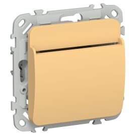 FLITE Выключатель карточный 30А ВК-0-ФлЗ золотарник IEK