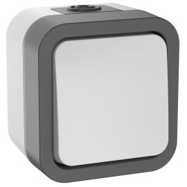 TORS Выключатель двухполюсный одноклавишный 10А IP55 TS211 серо-белый IEK