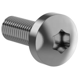 FORMAT Винт М6х16 самонарезающий полукруглая головка шестирадиусный шлиц TORX30 DIN 7500С (20шт/упак