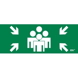 Этикетка самоклеящаяся 240х90мм "Место сбора" IEK