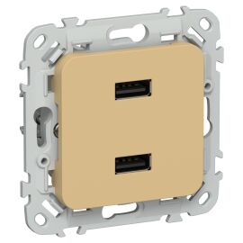 FLITE Розетка USB A+A 3,1А РЮ-2-ФлШм шамуа IEK