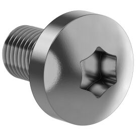 FORMAT Винт М6х10 самонарезающий полукруглая головка шестирадиусный шлиц TORX30 DIN 7500С (50шт/упак