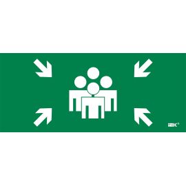 Этикетка самоклеящаяся 330х140мм "Место сбора" IEK