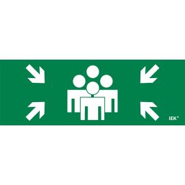 Этикетка самоклеящаяся 280х100мм "Место сбора" IEK