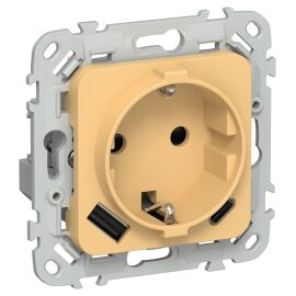 FLITE Розетка 1-местная с заземлением с защитными шторками 16А с USB A+C 20Вт РСЮшс11-0-ФлЗ золотарн