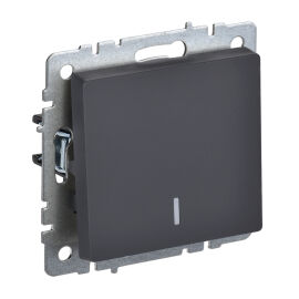 Выключатель 1-клавишный, с индикацией, 10А, ВС10-1-1-БрГ, графит, IEK BR-V10-1-10-K53