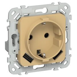 FLITE Розетка 1-местная с заземлением с защитными шторками 16А с USB A+A 3,1А РСЮша11-0-ФлШм шамуа I