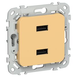 FLITE Розетка USB A+A 3,1А РЮ-2-ФлЗ золотарник IEK