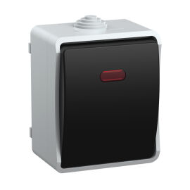 Выключатель 1-клавишный с индикацией, 10А, IP54, ВС20-1-1-ФСр, серый, IEK EVS11-K03-10-54-DC