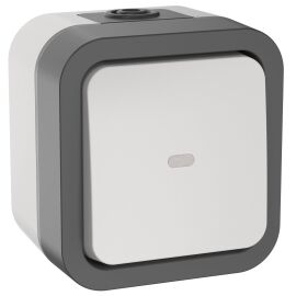 TORS Переключатель одноклавишный с индикацией 10А IP55 TS202 серо-белый IEK