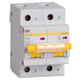 Выключатель автоматический ВА47-100 2Р 50А 10кА х-ка C, IEK MVA40-2-050-C