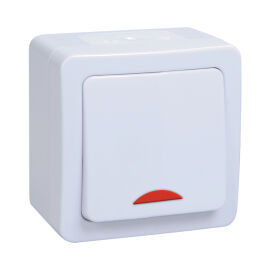 Выключатель 1-клавишный с индикацией, IP54, ВС20-1-1-ГПБ, IEK EVMP11-K01-10-54-EC