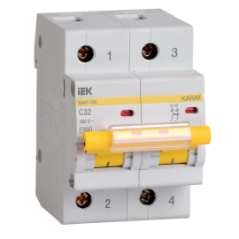 Выключатель автоматический ВА47-100 2P 32А 10кА х-ка C, IEK MVA40-2-032-C