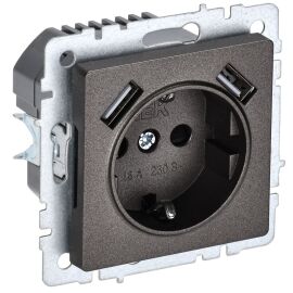 BRITE Розетка 1-местная с заземлением с защитными шторками 16А с USB A+A 5В 2,1А РЮш10-1-БрТБ темная