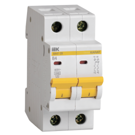 Выключатель автоматический ВА47-29 2P 4А 4,5кА х-ка В, IEK MVA20-2-004-B