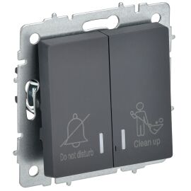 BRITE Выключатель 2-клавишный с индикацией для отелей 10А ВС10-2-9-БрГ графит IEK