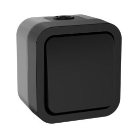 Выключатель 1-клавишный двухполюсный, 10А, IP55, TS111, графит, IEK TS-V16-0-10-55-K53