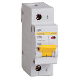 Выключатель автоматический ВА47-100 1Р 40А 10кА х-ка С, IEK MVA40-1-040-C
