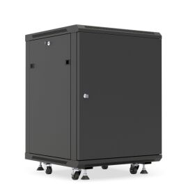 Шкаф настенный 19", 12U, 650x600х600м, металлическая дверь, черный, DANNMAN WXP1266SFBK